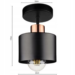 Потолочный светильник Led-lux цена и информация | Потолочные светильники | pigu.lt