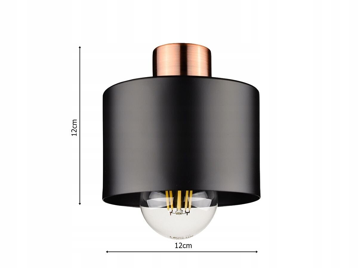 Led-lux lubinis šviestuvas kaina ir informacija | Lubiniai šviestuvai | pigu.lt