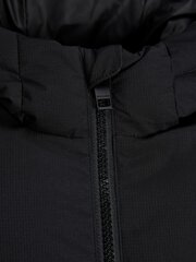 Детская куртка Jack & Jones 250г 12239781*01, черная, 5715430632763 цена и информация | Куртка для мальчика | pigu.lt