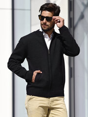 Свитер мужской на молнии M.Lasota цена и информация | Мужские свитера | pigu.lt