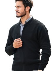 Свитер мужской на молнии M.Lasota цена и информация | Мужские свитера | pigu.lt