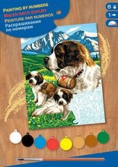 Tapyba pagal skaičius Sequin Art Bernardinų šunys цена и информация | Живопись по номерам | pigu.lt
