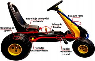 Minamas kartingas Go-kart kaina ir informacija | Žaislai berniukams | pigu.lt