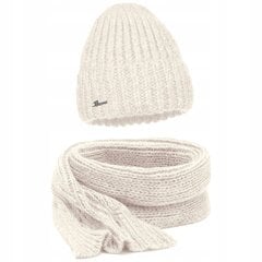 Комплект шапка и шарф Distribution4you цена и информация | Женские шапки | pigu.lt