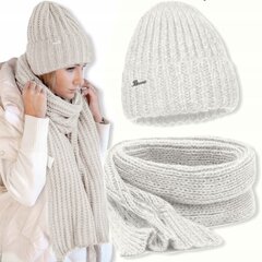 Комплект шапка и шарф Distribution4you цена и информация | Женские шапки | pigu.lt