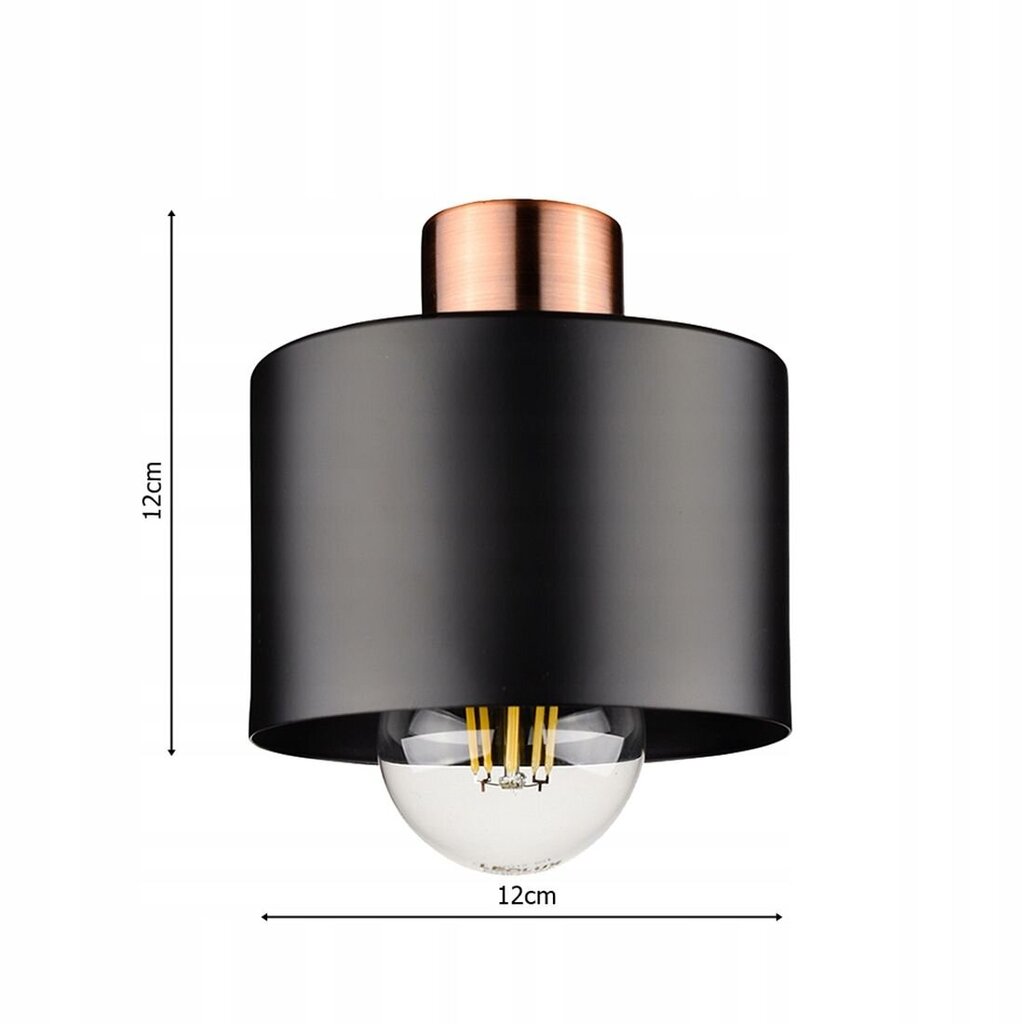 Led-lux pakabinamas šviestuvas kaina ir informacija | Pakabinami šviestuvai | pigu.lt