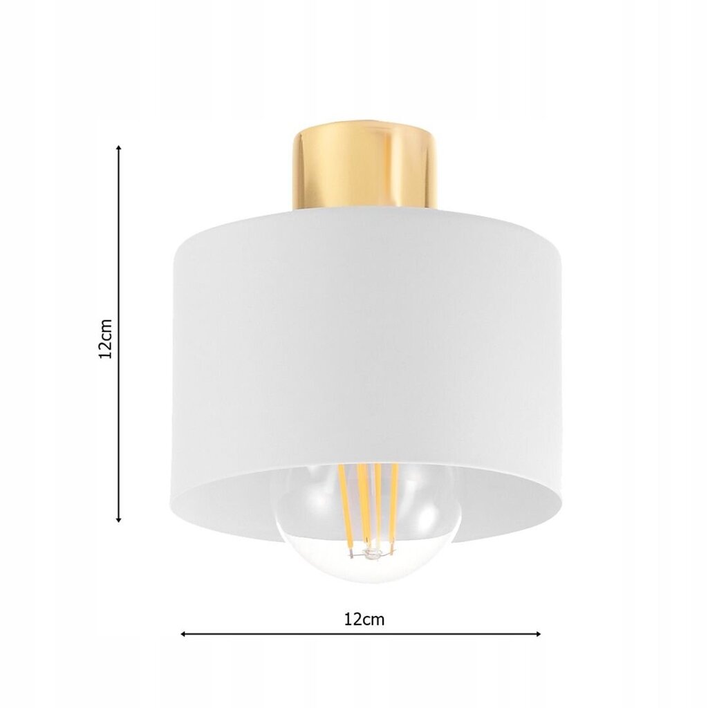 Led-lux lubinis šviestuvas kaina ir informacija | Lubiniai šviestuvai | pigu.lt