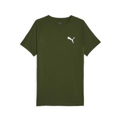 Puma marškinėliai vyrams Evostripe, žali kaina ir informacija | Sportinė apranga vyrams | pigu.lt