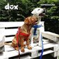 Reguliuojamos petnešos šunims Ddoxx no pull, L, mėlynos цена и информация | Antkakliai, petnešos šunims | pigu.lt
