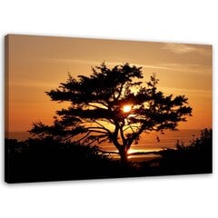 Paveikslas Medis prie jūros saulėlydžio metu kaina ir informacija | Reprodukcijos, paveikslai | pigu.lt