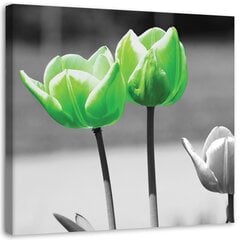 Reprodukcija Žalios ir pilkos tulpės цена и информация | Репродукции, картины | pigu.lt