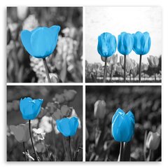 Paveikslas Mėlynų tulpių rinkinys kaina ir informacija | Reprodukcijos, paveikslai | pigu.lt