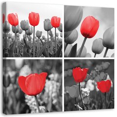 Reprodukcija Raudonų tulpių rinkinys kaina ir informacija | Reprodukcijos, paveikslai | pigu.lt