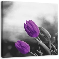 Reprodukcija Dvi violetinės tulpės цена и информация | Репродукции, картины | pigu.lt
