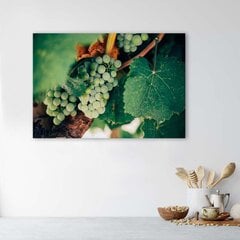 Reprodukcija Žalios vynuogės kaina ir informacija | Reprodukcijos, paveikslai | pigu.lt