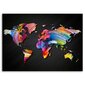 Reprodukcija Pasaulio žemėlapis su skirtingomis spalvomis цена и информация | Reprodukcijos, paveikslai | pigu.lt