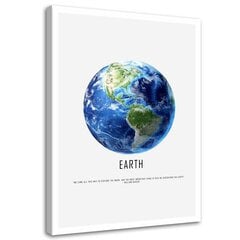 Reprodukcija Planeta žemė kaina ir informacija | Reprodukcijos, paveikslai | pigu.lt