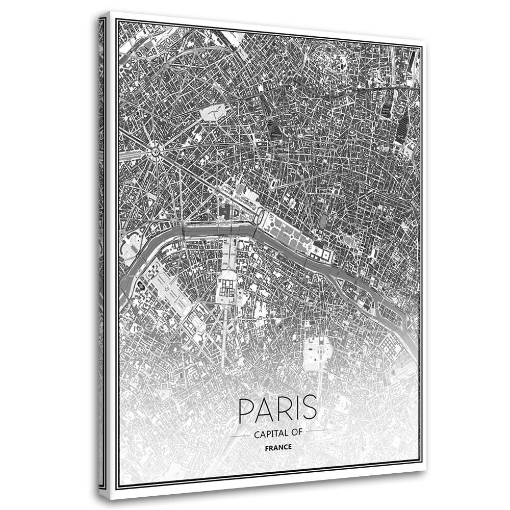 Reprodukcija Paryžiaus planas цена и информация | Reprodukcijos, paveikslai | pigu.lt