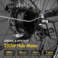 Elektrinis dviratis Fafrees F28 Pro, 27,5", pilkas цена и информация | Elektriniai dviračiai | pigu.lt