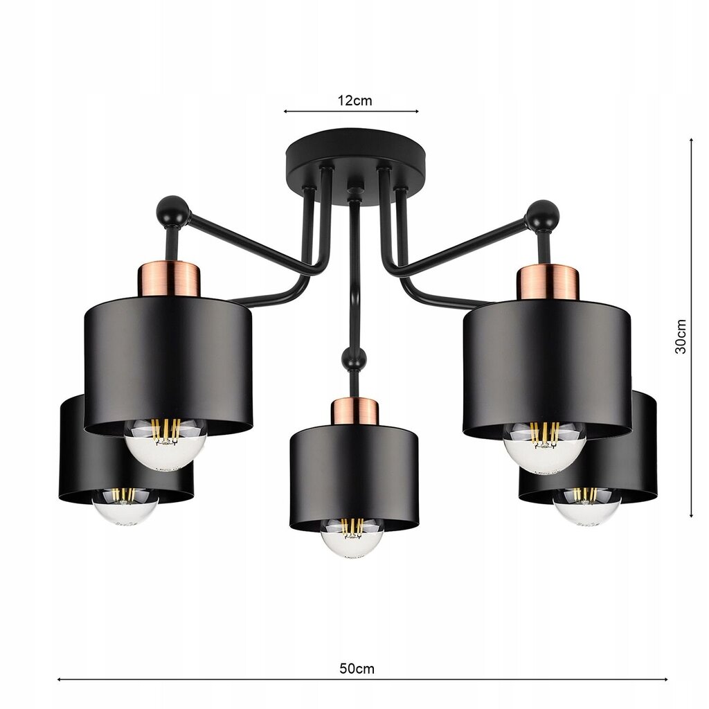 Led-lux pakabinamas šviestuvas цена и информация | Pakabinami šviestuvai | pigu.lt