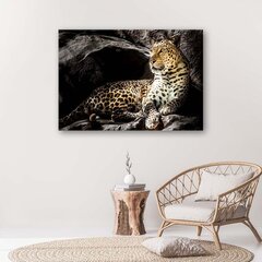 Paveikslas Leopardas ant uolų цена и информация | Репродукции, картины | pigu.lt