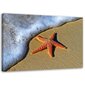 Reprodukcija Oranžinė jūros žvaigždė kaina ir informacija | Reprodukcijos, paveikslai | pigu.lt