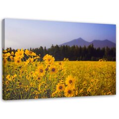 Картина DKD Home Decor (120 x 3 x 60 cm) (2 шт.) цена и информация | Репродукции, картины | pigu.lt