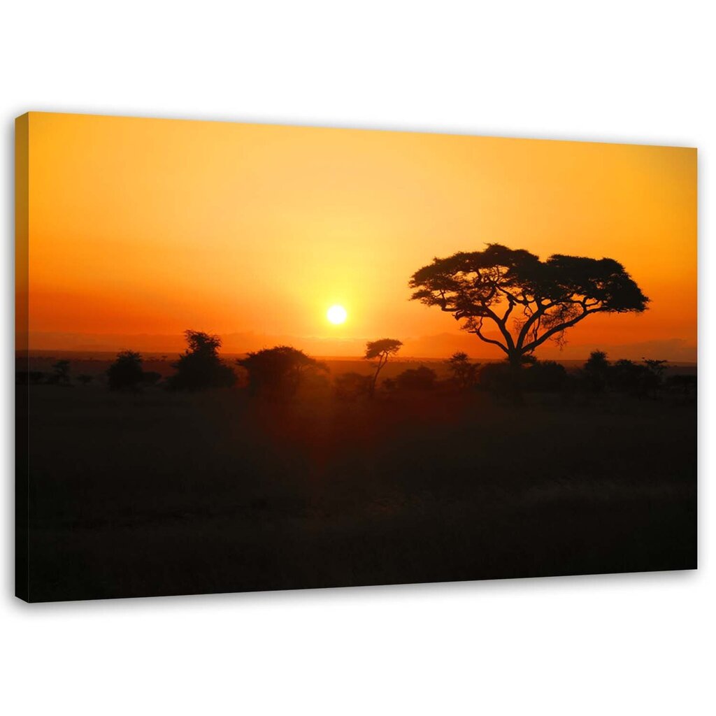 Reprodukcija Afrikos saulėlydis kaina ir informacija | Reprodukcijos, paveikslai | pigu.lt