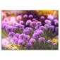 Reprodukcija Violetinis sodas kaina ir informacija | Reprodukcijos, paveikslai | pigu.lt