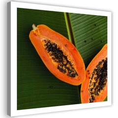 Reprodukcija Papaja ant lapo цена и информация | Репродукции, картины | pigu.lt
