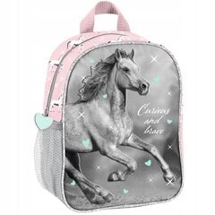 Ikimokyklinuko kuprinė Paso Horse PP23KO-503, 28x22x10 cm цена и информация | Школьные рюкзаки, спортивные сумки | pigu.lt