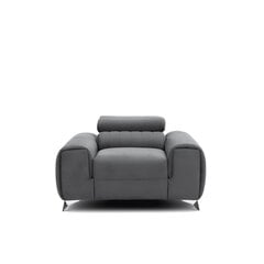 Кресло  Laurence, серый цвет цена и информация | Кресла в гостиную | pigu.lt
