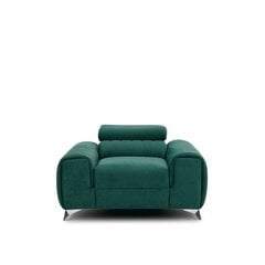Кресло  Laurence, зеленый цвет цена и информация | Кресла в гостиную | pigu.lt