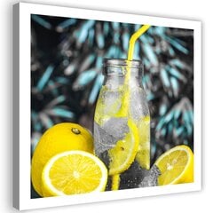 Paveikslas Gėrimas ir citrinos kaina ir informacija | Reprodukcijos, paveikslai | pigu.lt