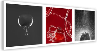 Холст, припечаток, помидор 89,99 цена и информация | Репродукции, картины | pigu.lt