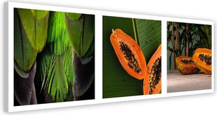 Reprodukcija Sultingų papajų rinkinys kaina ir informacija | Reprodukcijos, paveikslai | pigu.lt