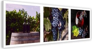 Репродукция магия виноградника  цена и информация | Репродукции, картины | pigu.lt