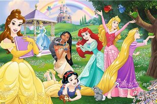 Dvipusė dėlionė Super Maxi Disney Happy Princesses 3in1, 24 d. kaina ir informacija | Dėlionės (puzzle) | pigu.lt