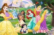 Dvipusė dėlionė Super Maxi Disney Happy Princesses 3in1, 24 d. цена и информация | Dėlionės (puzzle) | pigu.lt