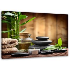 Репродукция камни дзен и бамбук на зеленом фоне цена и информация | Репродукции, картины | pigu.lt
