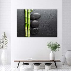 Reprodukcija Bambuko ir zen akmenys juodame fone kaina ir informacija | Reprodukcijos, paveikslai | pigu.lt