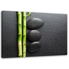 Reprodukcija Bambuko ir zen akmenys juodame fone kaina ir informacija | Reprodukcijos, paveikslai | pigu.lt