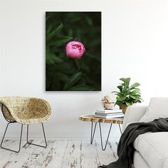 Reprodukcija Rožinis gėlės pumpuras kaina ir informacija | Reprodukcijos, paveikslai | pigu.lt
