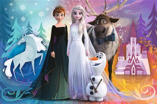 Dvipusė dėlionė Trefl Frozen, 24 d. kaina ir informacija | Dėlionės (puzzle) | pigu.lt