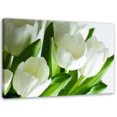 Reprodukcija Baltos tulpės kaina ir informacija | Reprodukcijos, paveikslai | pigu.lt