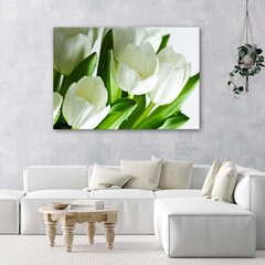 Reprodukcija Baltos tulpės kaina ir informacija | Reprodukcijos, paveikslai | pigu.lt
