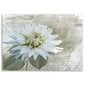Reprodukcija Balta vintažinė gėlė kaina ir informacija | Reprodukcijos, paveikslai | pigu.lt