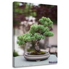 Reprodukcija Bonsai medis kaina ir informacija | Reprodukcijos, paveikslai | pigu.lt
