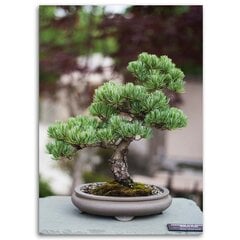 Reprodukcija Bonsai medis цена и информация | Репродукции, картины | pigu.lt