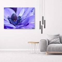 Paveikslas Mėlynos violetinės gėlė kaina ir informacija | Reprodukcijos, paveikslai | pigu.lt